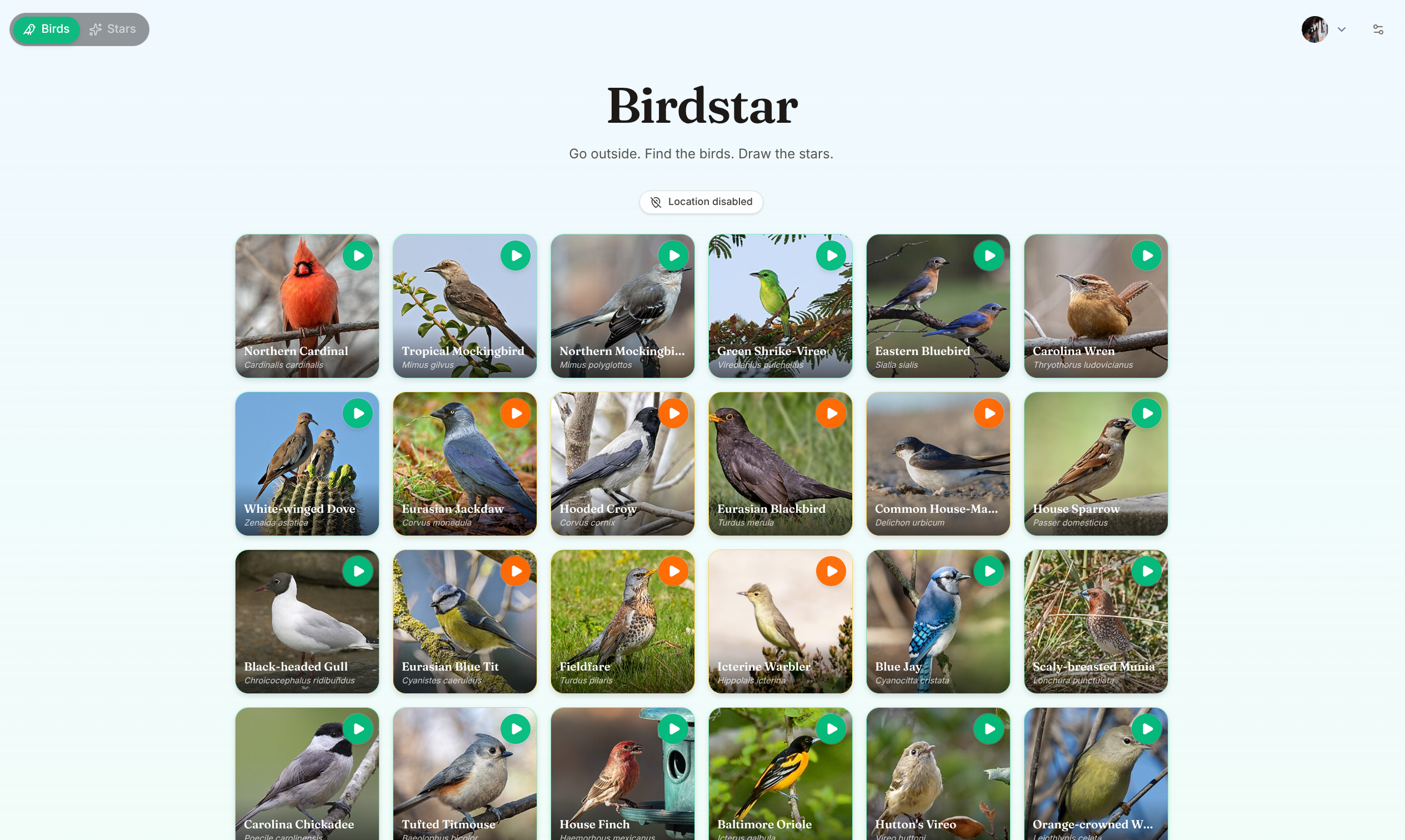 Birdstar screenshot